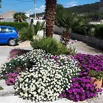 Home Padovan