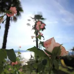 Tramontana Apartment - Cozy And Charming Close To Sea