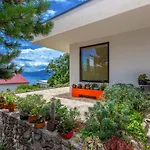 Villa Orange, Small House In A Pine Forest