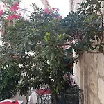 Villa Marija