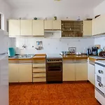 Apartments Novi