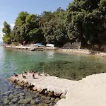 Apartment In Lopar/Insel Rab 36121
