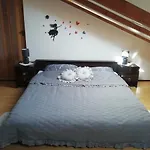 Studio P 18 - 25 M2