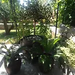 Apartman Silvo
