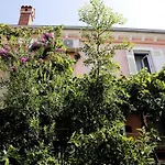 Apartments Ivan