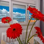 Apartments In Crikvenica 41205
