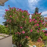 Apartman Srki