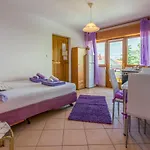Apartment Vojka