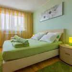 Apartment Vojka
