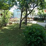 Apartments Cutic
