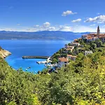 Apartment In Malinska With Seaview, Terrace, Air Condition, Wifi