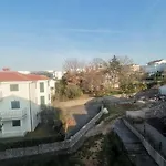 Apartments Petrica