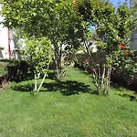 Apartmani Antica