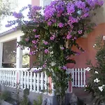 Apartments Jozefina