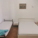 Apartment Novak