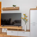 Apartments Lacic