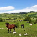 Mi-Ma Ul. Prilaz 1 51250, Novi Vinodolski, Hrvatska Apartman