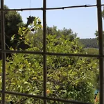 Apartments By The Sea Mali Losinj