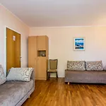 Apartment Vantacici 5313C