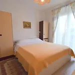 Apartment Potnar M