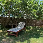 Holiday Apartment