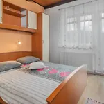3 Bedroom Nice Home In Crni Lug