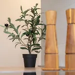 City Center Studio Apartment For Humans & Pets - One