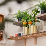 City Center Studio Apartment For Humans & Pets - One