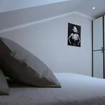Apartment Zenith