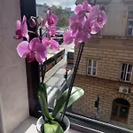 Apartman Vesna