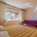 Apartment In Jadranovo 14272