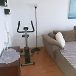 Dani