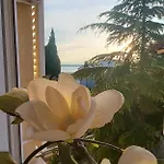 Apartman Rosi