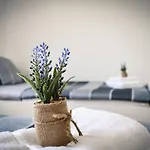 Apartment Olea Crikvenica - With Beautiful Sea View, Near The Sandy Beach And Center