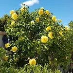 Entspannungsoase - Insel Krk