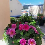 Marovito