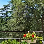 Apartman Alba
