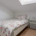 Large Holiday House With Swimming Pool And Terrace