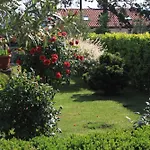 Apartments For Families With Children Opatija - Pobri, Opatija - 7890