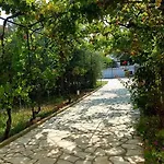 Ara-Mazic