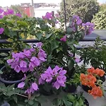 Apartman Bella Vista Rijeka