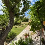 Apartments And Rooms Markovski