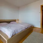 Ferienwohnung Fuer 4 Personen Ca 80 Qm In Crikvenica, Kvarner Bucht Crikvenica Und Umgebung