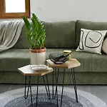 Apartmani Rajkovic