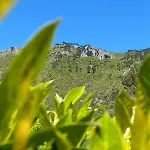Apartman Merania