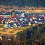 Apartments With A Parking Space Delnice, Gorski Kotar - 20297