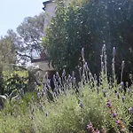 Cappelli Apartments - Losinj