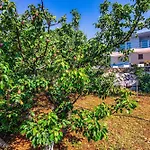 Organic Gardens