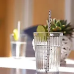 Apartman Vesna II
