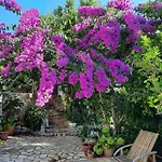 Villa Lavanda